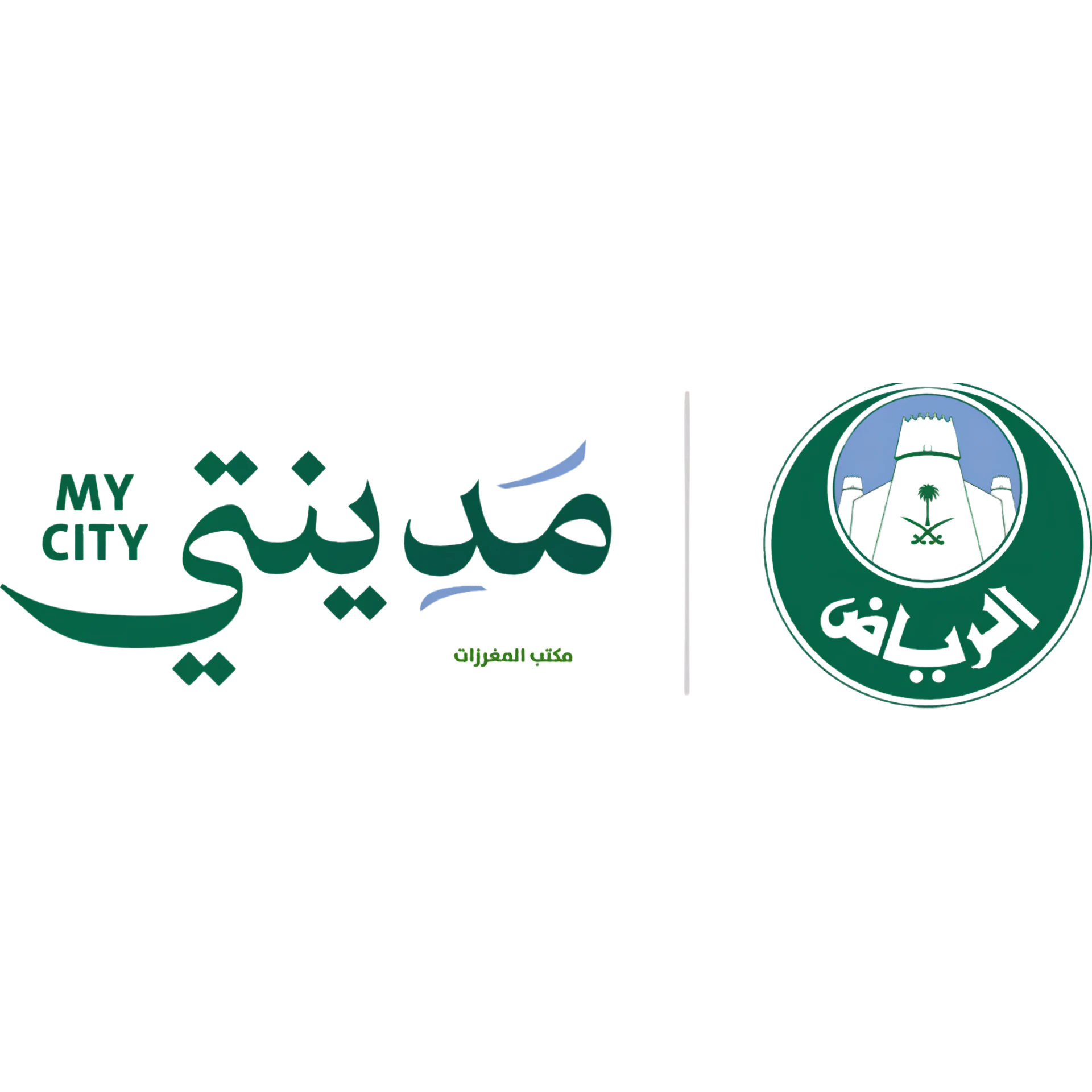 مدينتي من نسر